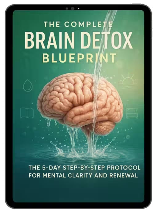 NeuroVera bouns 1 The Complete Brain Detox Blueprint  